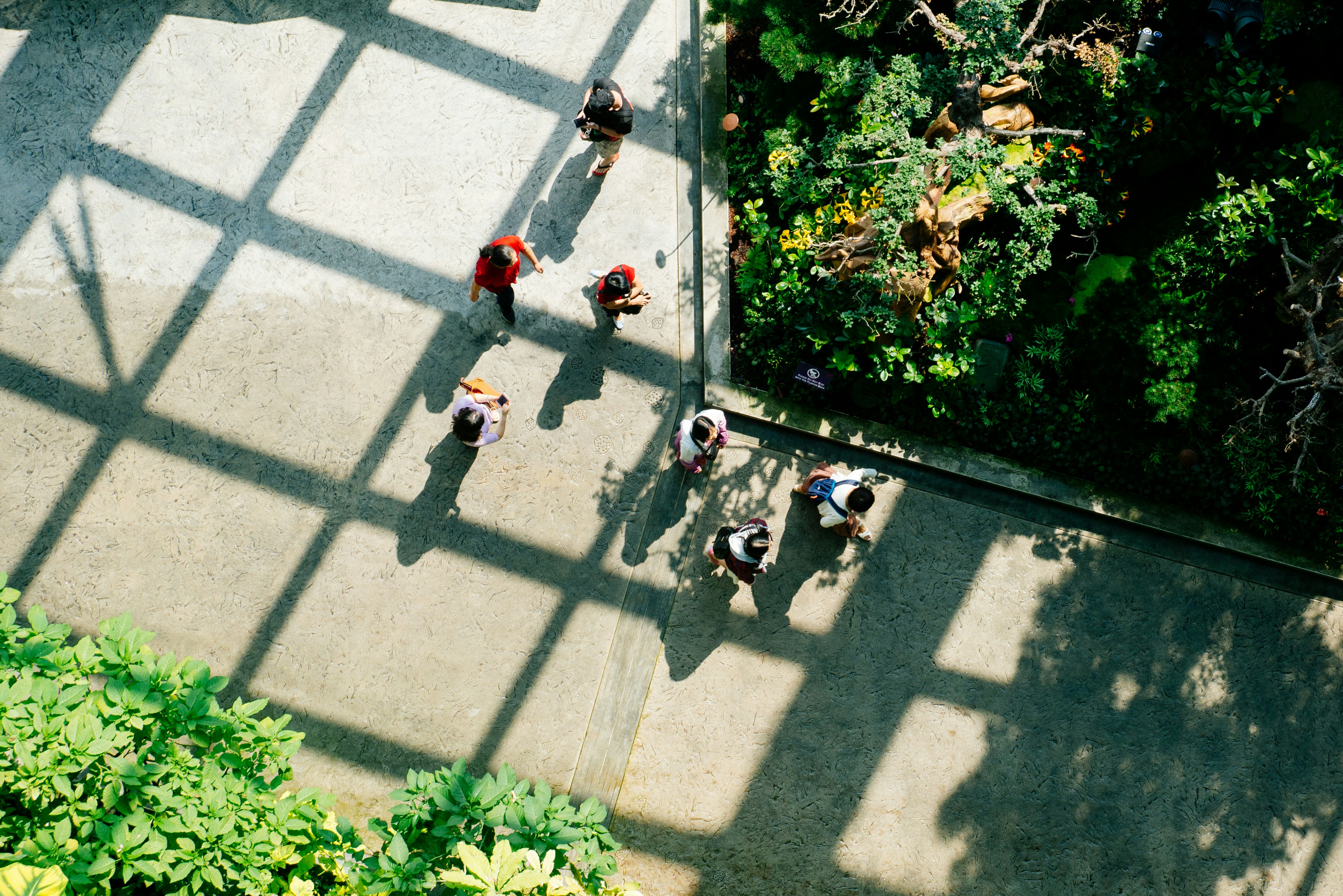 A collaborative team working together